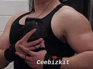 Ceebizkit