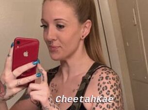 CheetahKae