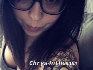 Chrys4nthemum