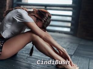 CindiBush
