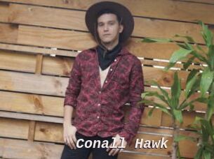 Conall_Hawk