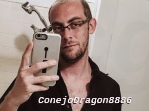 ConejoDragon8886