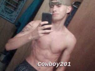 Cowboy201