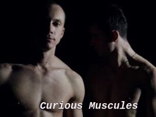 Curious_Muscules