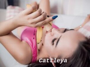 _Cattleya