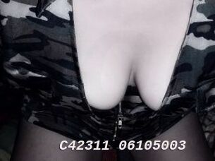 C42311-06105003