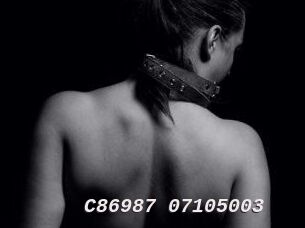 C86987-07105003