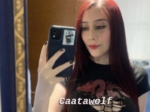 caatawolf Live Camgirls Sex