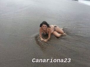 Canariona23