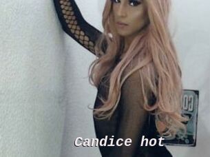 Candice_hot
