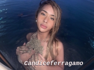 Candiceferragamo