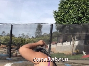 Canelabrun
