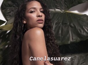 Canelasuarez