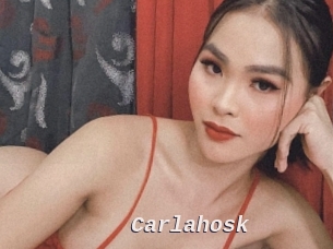 carlahosk Live Camgirls Sex