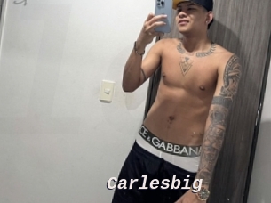 carlesbig Live Camgirls Sex