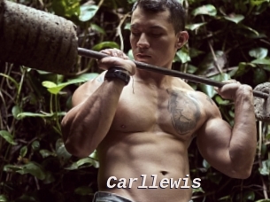 Carllewis
