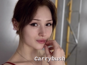Carrybush