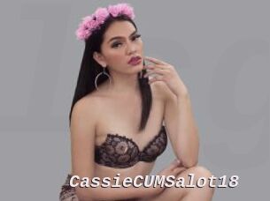 CassieCUMSalot18