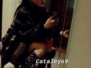 Cataleya9
