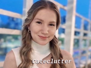 Cateclutter