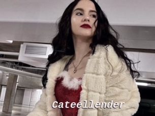 Cateellender
