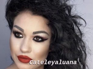 Cateleyaluana
