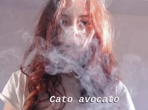 Cato_avocato