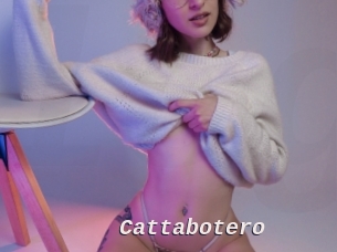 Cattabotero