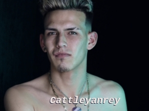cattleyanrey Live Camgirls Sex