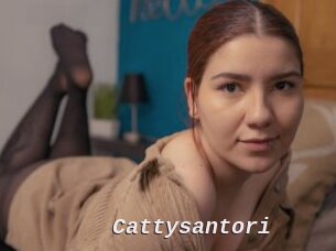 Cattysantori