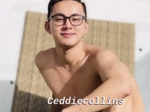 Ceddiecollins