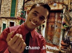Chamo_brown