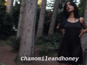Chamomileandhoney