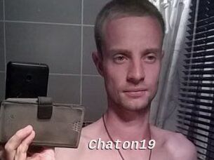 Chaton19