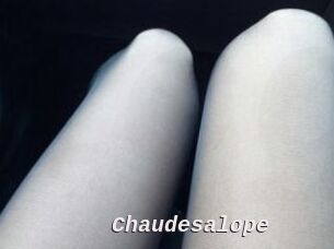 Chaudesalope
