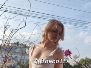 Chloecolts