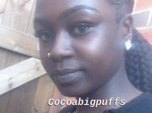 Cocoabigpuffs