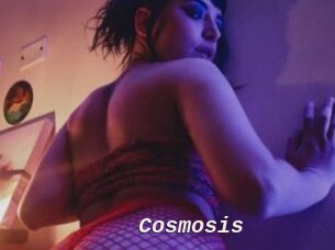 Cosmosis