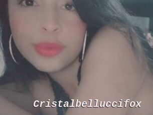 Cristalbelluccifox