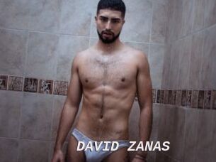 DAVID_ZANAS