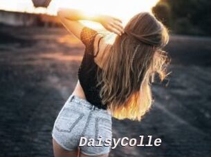 DaisyColle