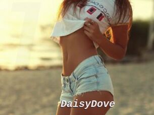 DaisyDove