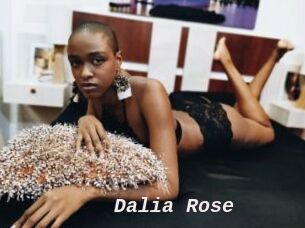 Dalia_Rose