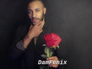 DamFenix
