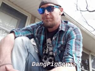 DangPigBenis