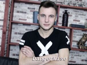 DangerWise