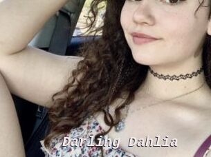 Darling_Dahlia