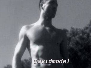 Davidmodel