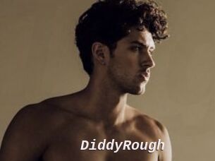 DiddyRough