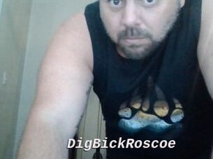 DigBickRoscoe